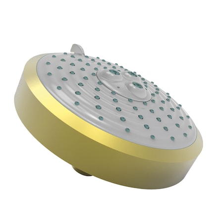 Newport Brass Multifunction Showerhead in Satin Brass (Pvd) 2143-04